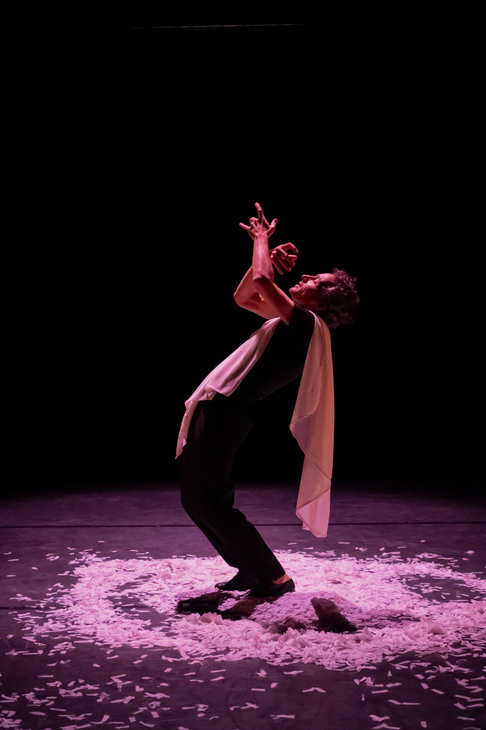 Mickaeël Délis, Les paillettes de leur vie, Création lumière de Jérôme Baudouin, créateur lumière en danse, théâtre et spectacle vivant.